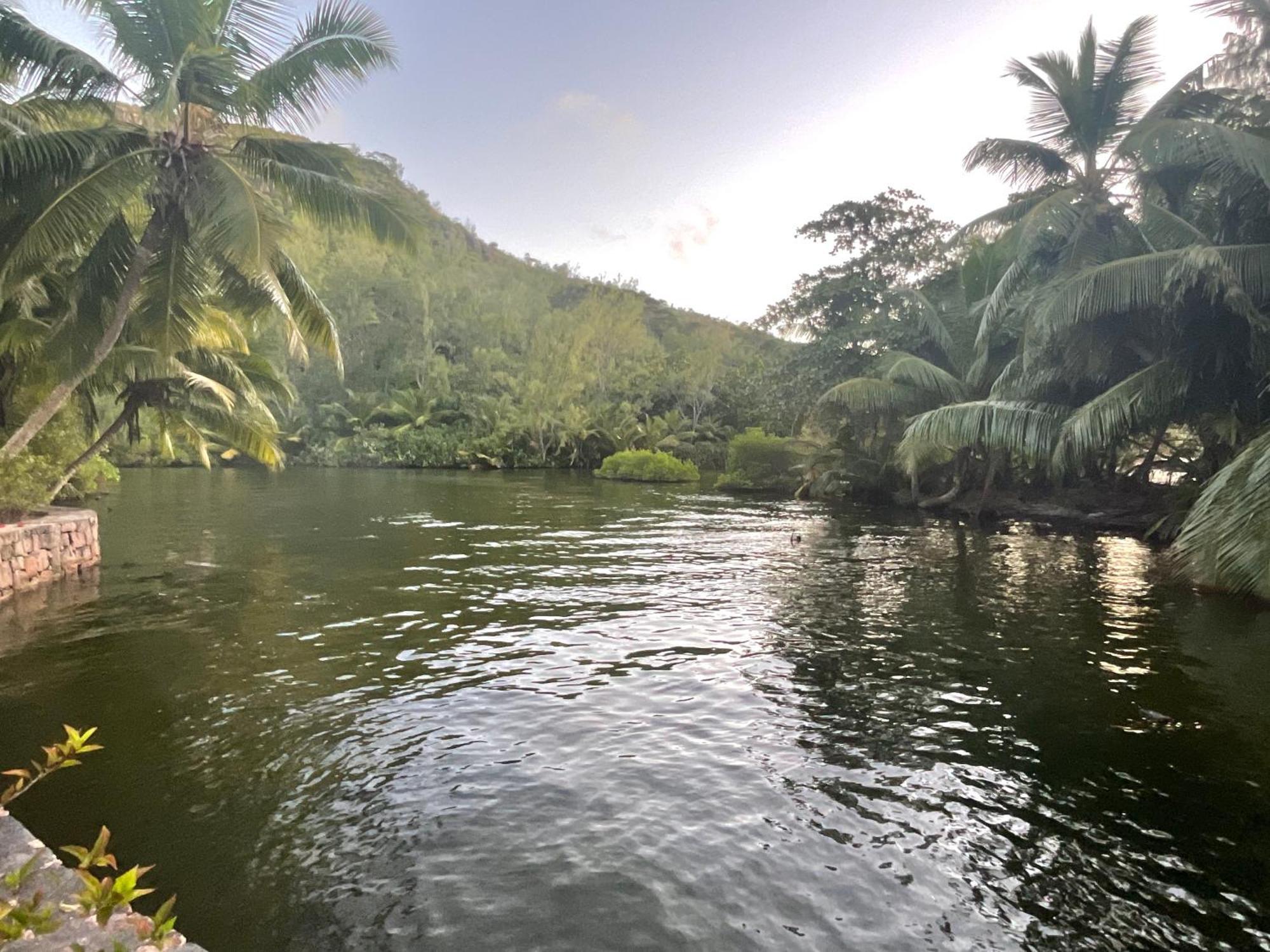 Le Chevalier Bay Guest house Anse Lazio